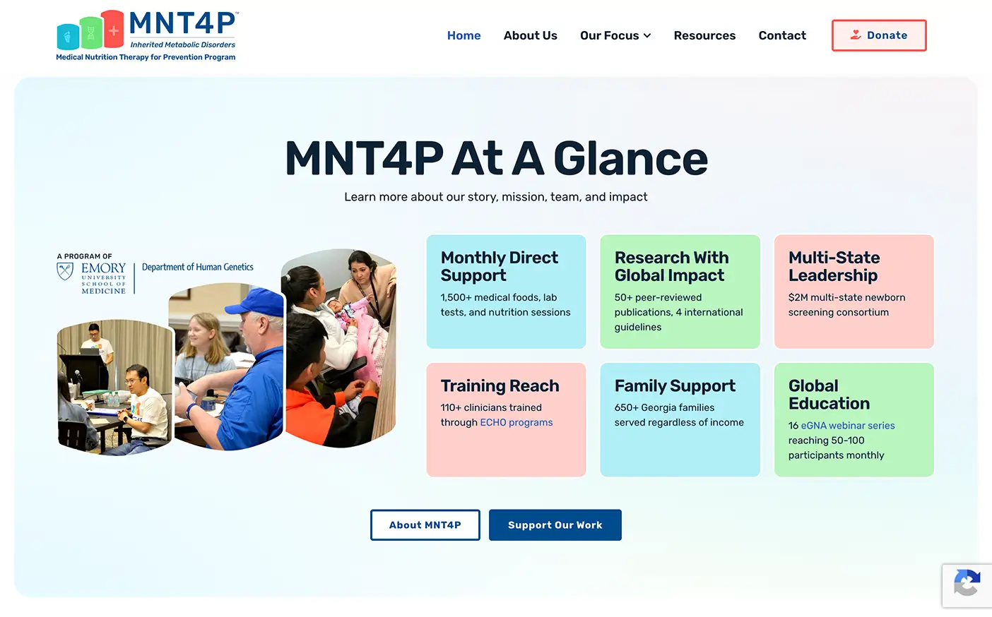 mnt4p ataglance websitedesign
