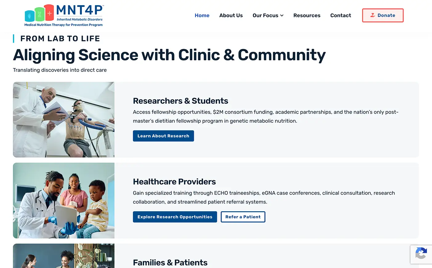 mnt4p labtolife websitedesign